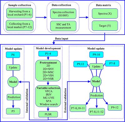 Model development and update of portable NIRS instrument for assessment of internal quality attributes of two <mark class="highlighted">navel orange</mark> varieties